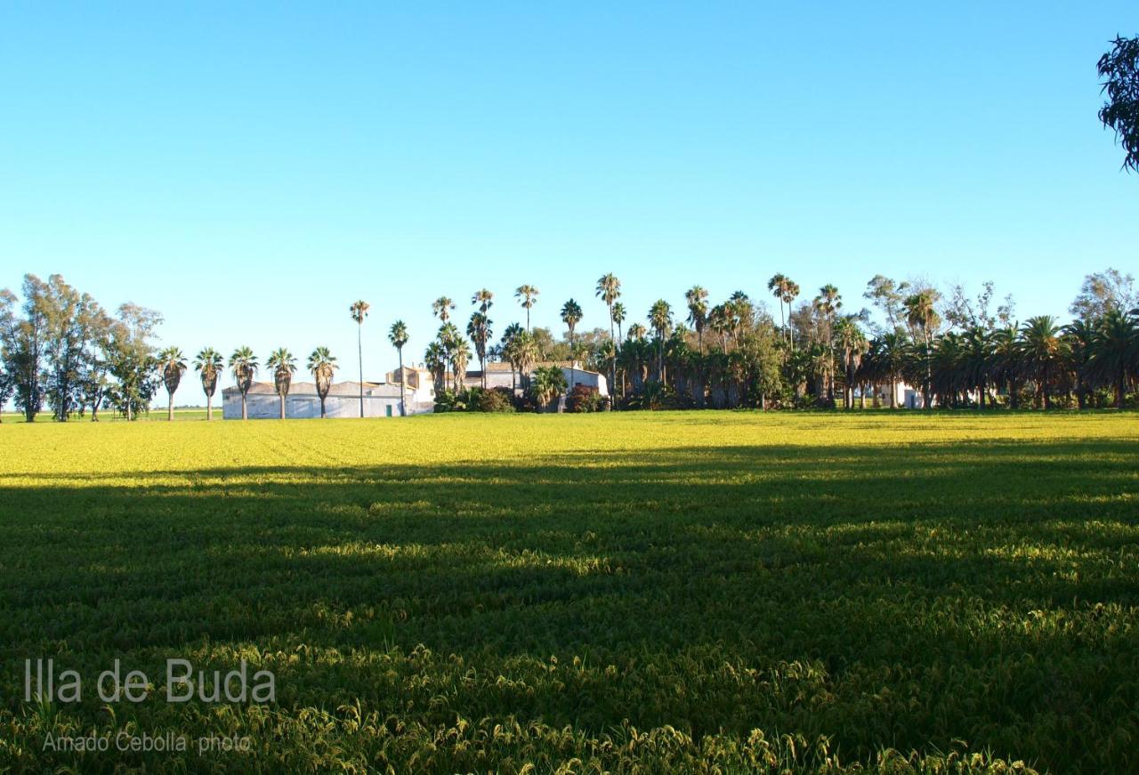 Villa Paquita - Delta De L'Ebre Далтебра Екстер'єр фото
