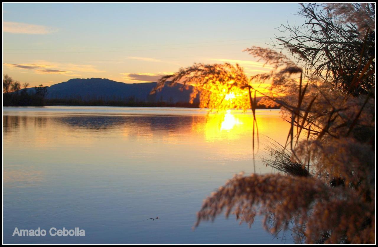 Villa Paquita - Delta De L'Ebre Далтебра Екстер'єр фото